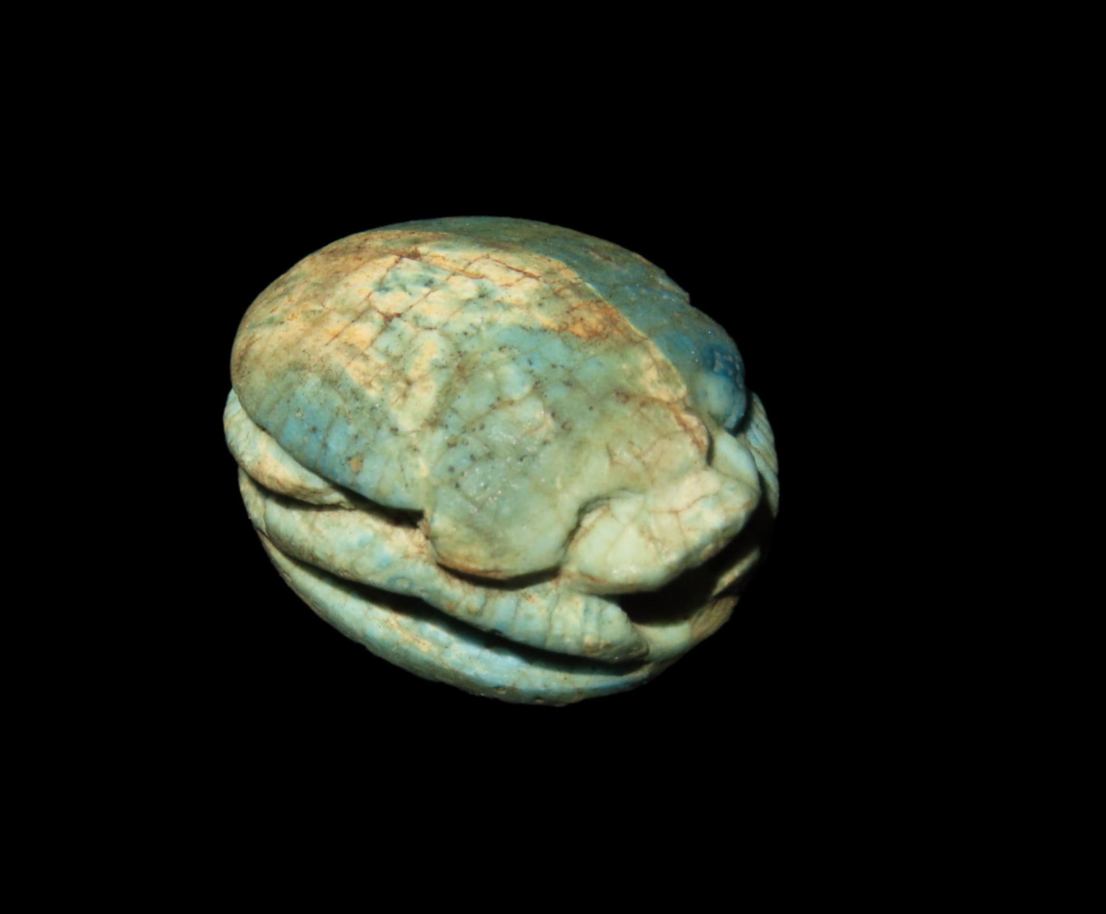 7/8" Egyptian Scarab Bead: 7/8" Egyptian Scarab Bead