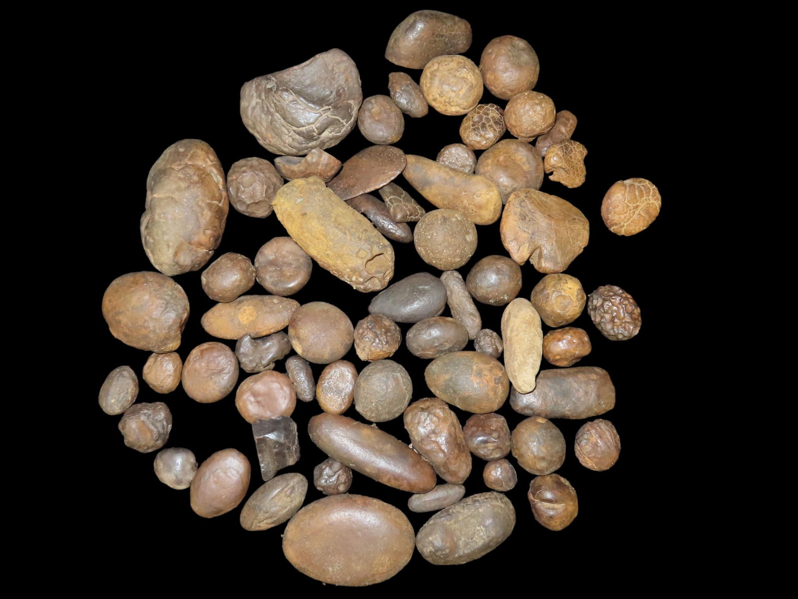 Lot of multiple Hematite pieces and other various minerals: Lot of multiple Hematite pieces and other various minerals