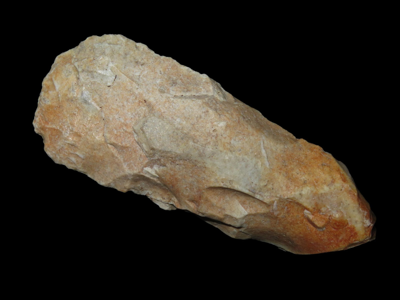 5 5/8" x 2 3/16" Sedalia Digger, Burlington Chert, Howard Co. Missouri, Motley COA (1 of 8)