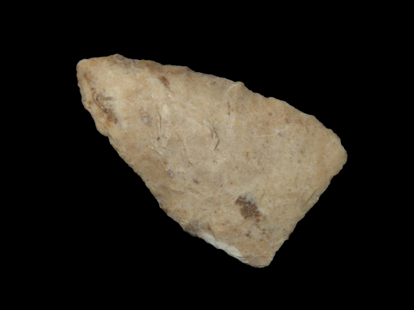 2 3/16" x 1 5/16" Sloan, Burlington Chert, Boone Co. Missouri, Motley / Leithoff COA (1 of 8)