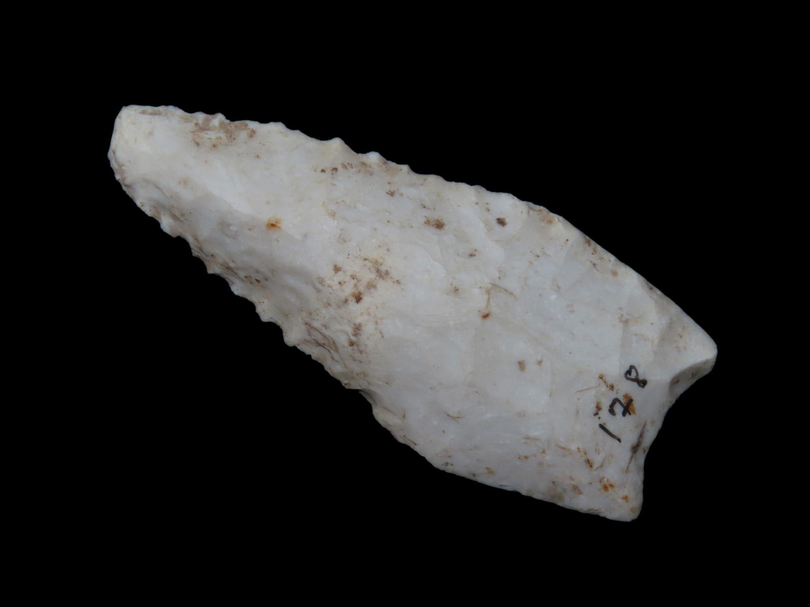 2 9/16" x 1 1/16" Searcy, Burlington Chert, Southwest Missouri, Motley / Leithoff COA (1 of 8)