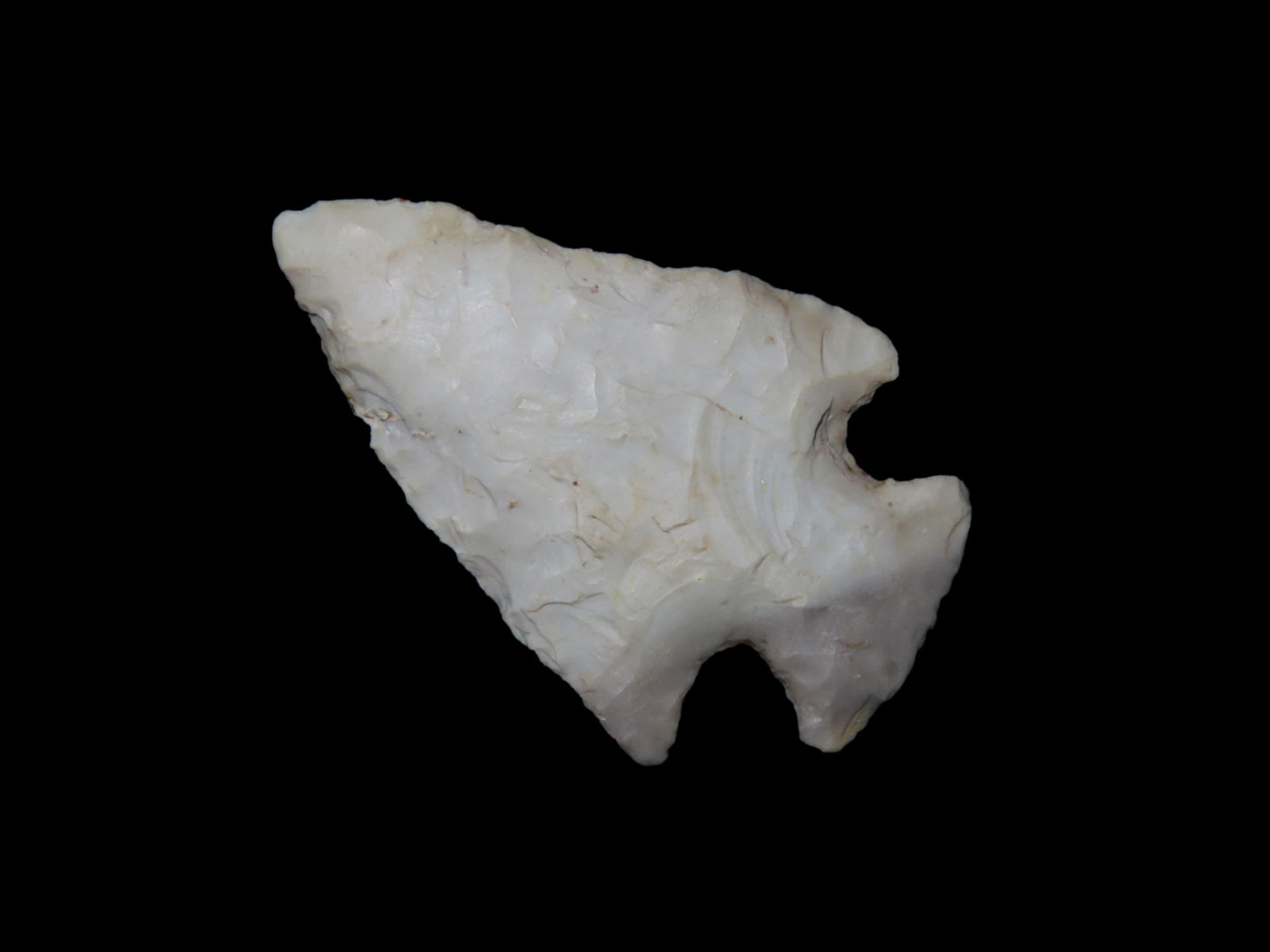 1 9/16" x 1" Sequoyah, Burlington Chert, Saline Co. Missouri, Motley / Leithoff COA (1 of 8)