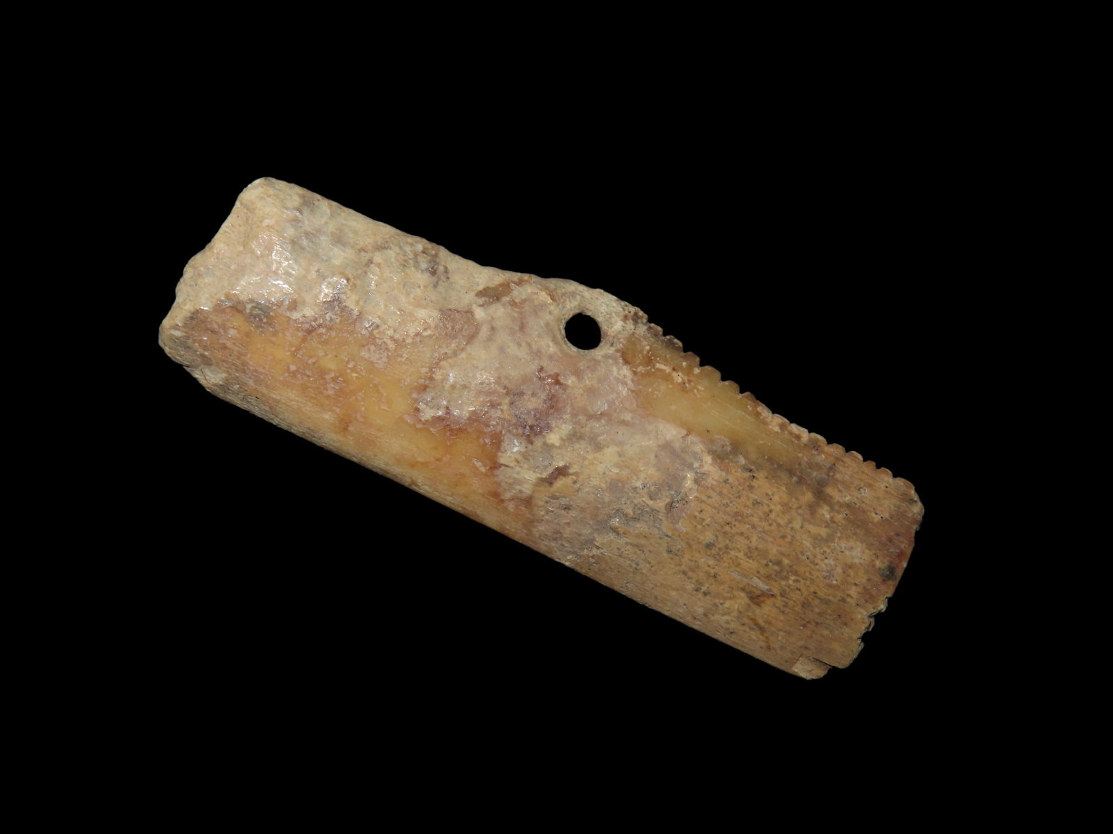 Authentic Bone Gorget/Pendant with Tally Marks. Found in Tennessee, Ex Parker: Authentic Bone Gorget/Pendant with Tally Marks. Found in Tennessee, Ex Parker