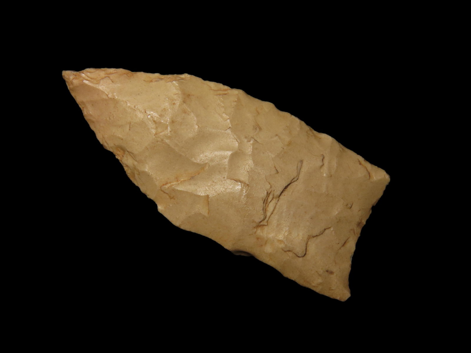 1 1/4" Paleo, Alabama, Ex Walt McIntire: 1 1/4" Paleo, Alabama, Ex Walt McIntire