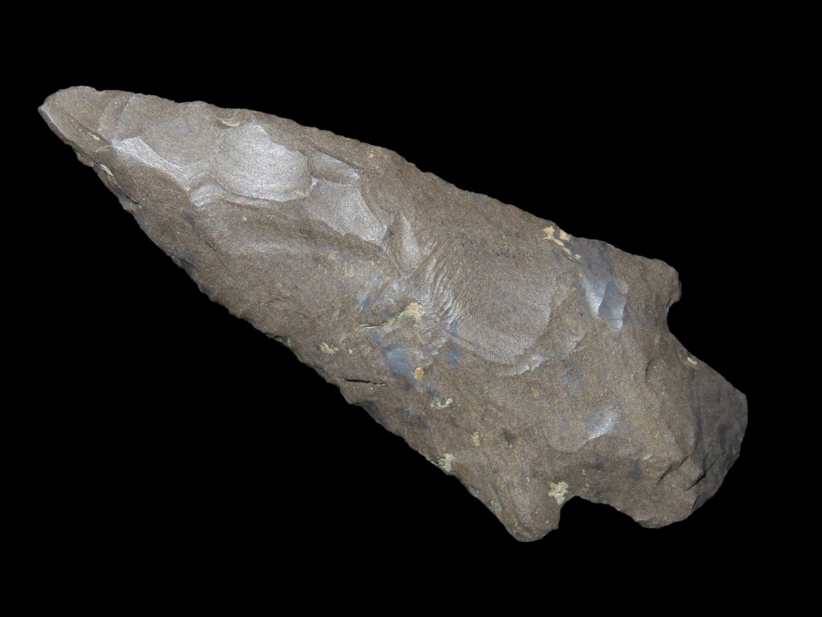 3 3/16" Pickwick, Tennessee, Ex Jim Lee Collection, Ex Jerry Dickey (1 of 5)