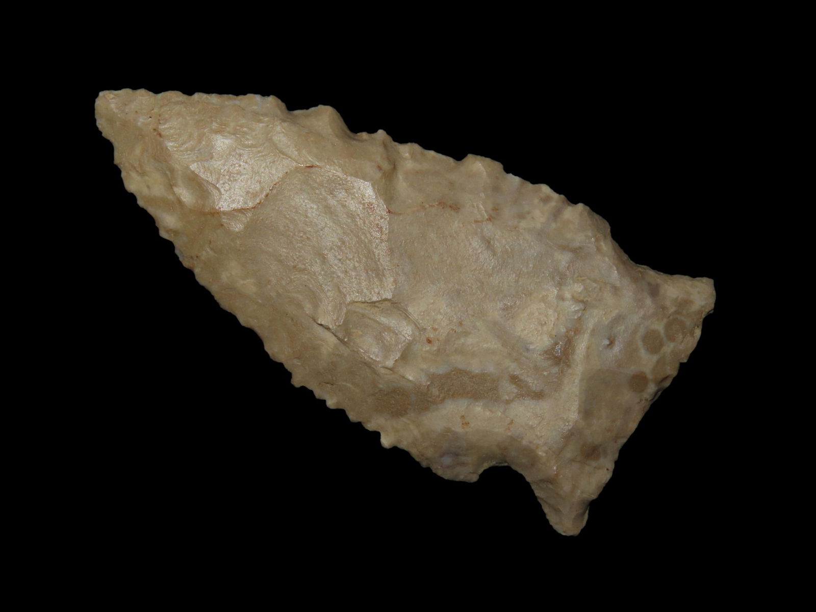 2 7/8" Stillwell, Kirk Corner Notch, Serrated, Meigs Co. Tennessee, Ex Jim Lee Collection, Ex Jerry (1 of 5)