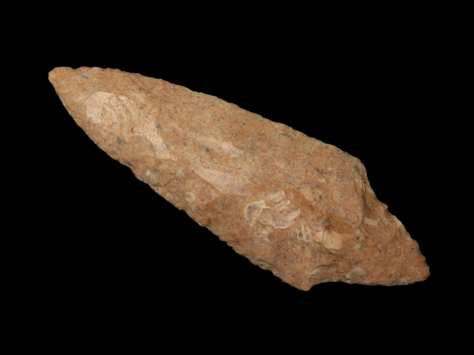 3" Beavertail Adena, Super Fossilized and Heated Burlington Chert, Adair Co. Missouri (1 of 5)