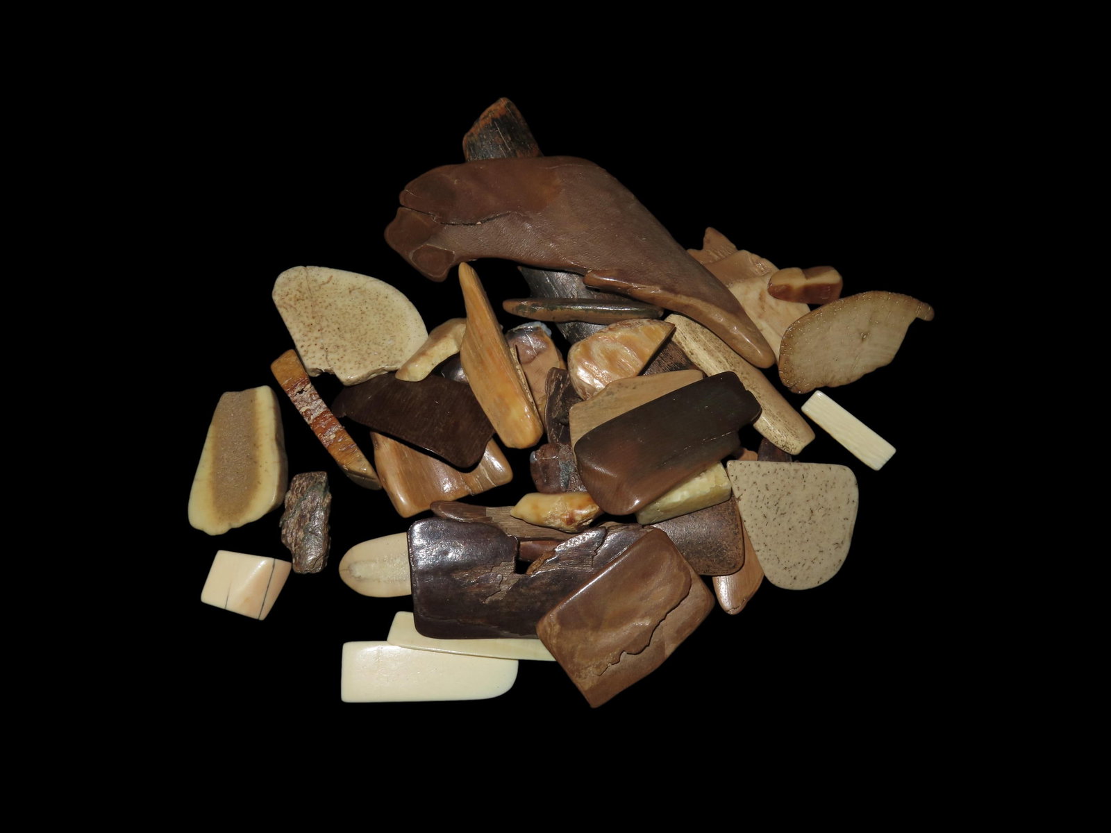 Group of Alaska Mamouth Mastadon Fossilized Tusk, Polished: Group of Alaska Mamouth Mastadon Fossilized Tusk, Polished