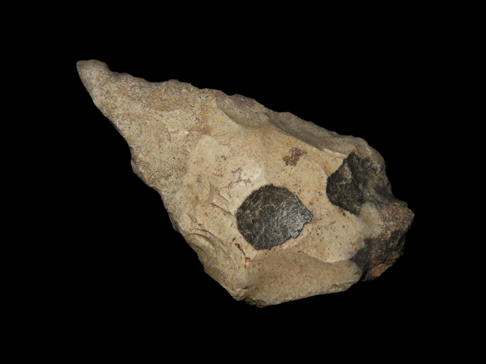 3 7/16" x 2" Neolithic Paleo Awl Knife Tool, Rare Form, Dordogne Valley, France (1 of 6)