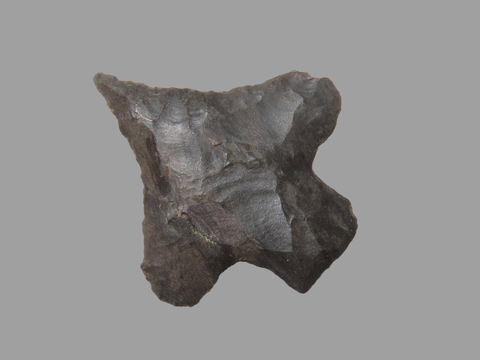 1 5/8" Cotaco Creek Drill, Wayne Co. Tennessee, Ex Jerry Dickey (2003), Ex Jim Lee Collection, Ex (1 of 6)