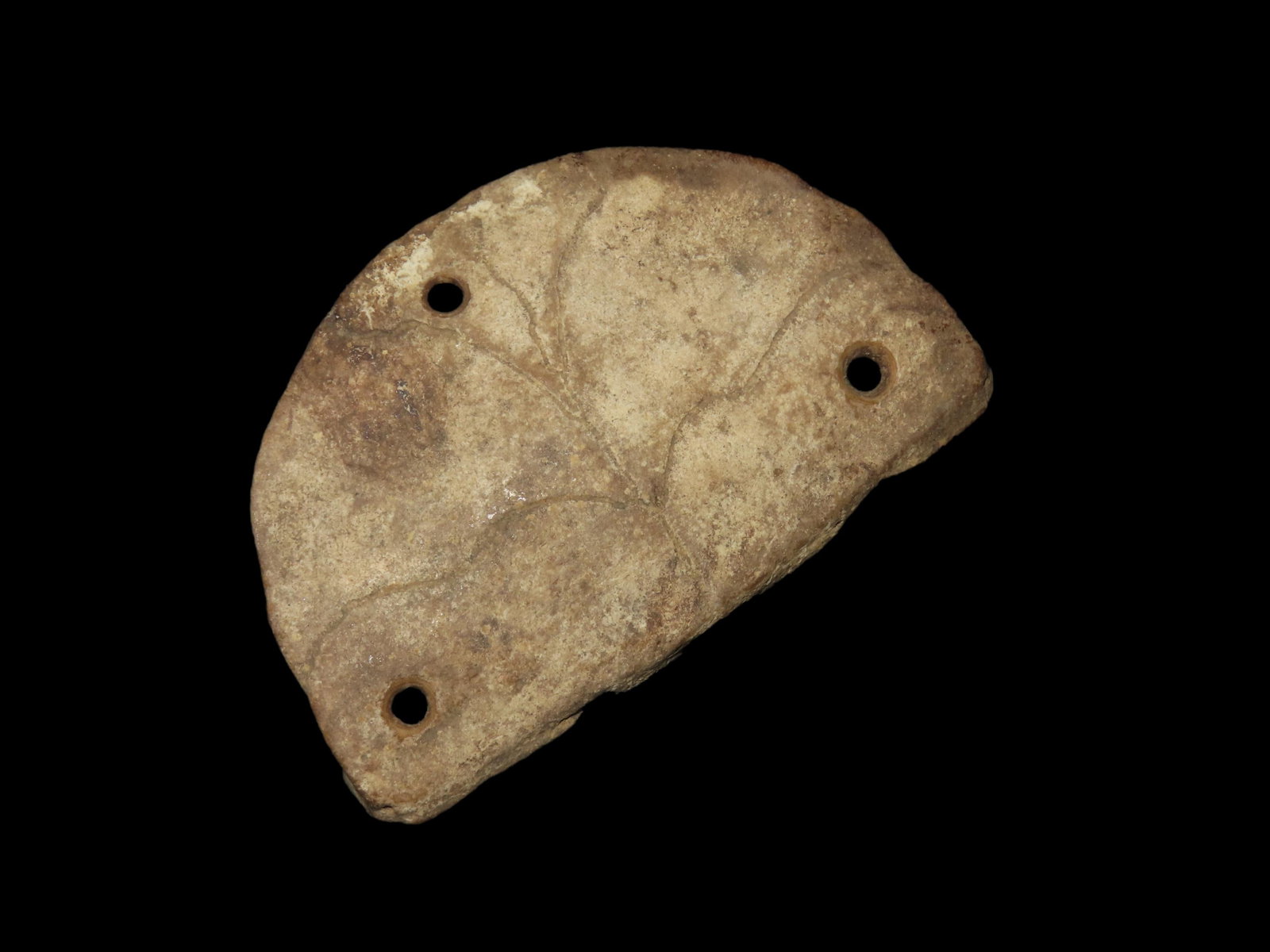 2 3/4" x 1 7/8" Turtle Shell Gorget Bone, Bedford Co. Tennessee (1 of 6)