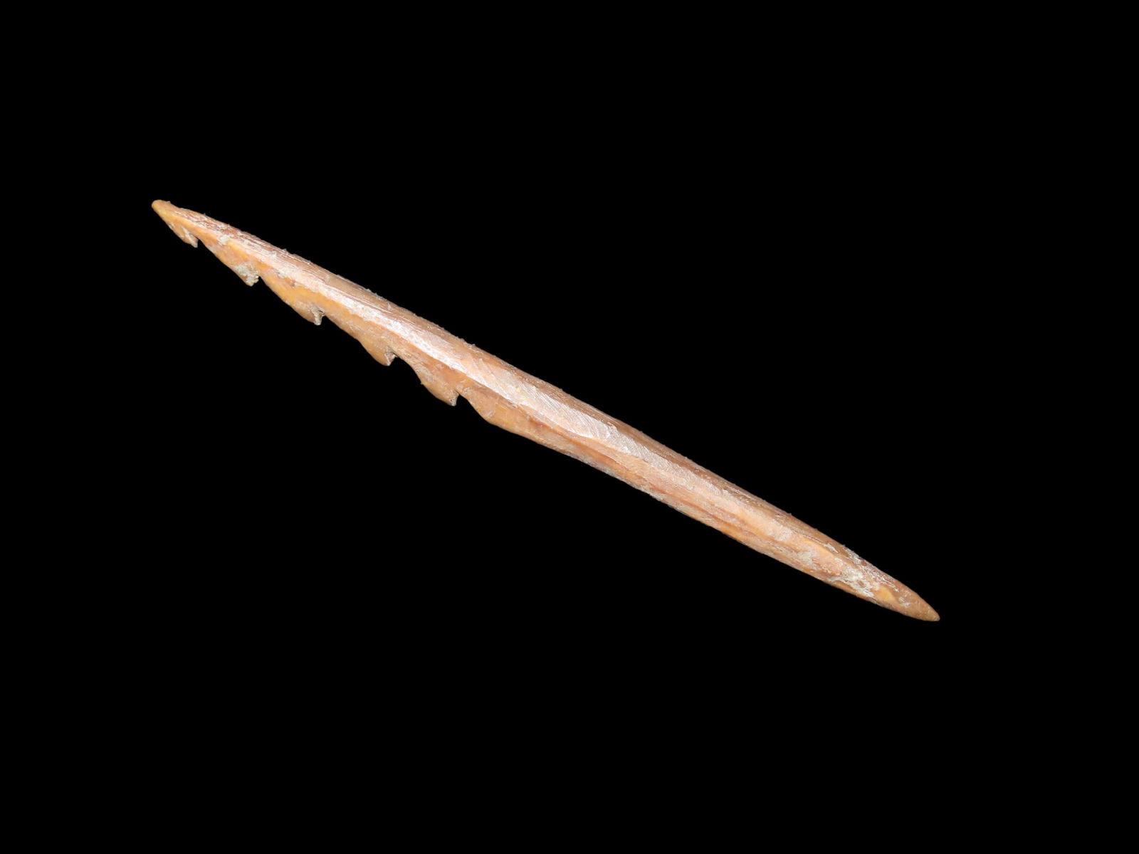 4" Bone Harpoon. Eskimo/Inuit. St. Lawrence Island, Alaska. Ex Litherland Collection.: 4" Bone Harpoon. Eskimo/Inuit. St. Lawrence Island, Alaska. Ex Litherland Collection.