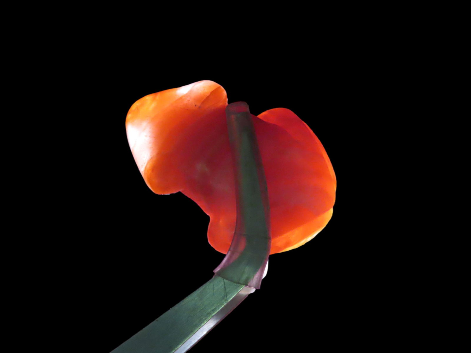 Pre-Columbian Toad/Frog Pendant. Carnelian Agate. Guatemala. (1 of 7)