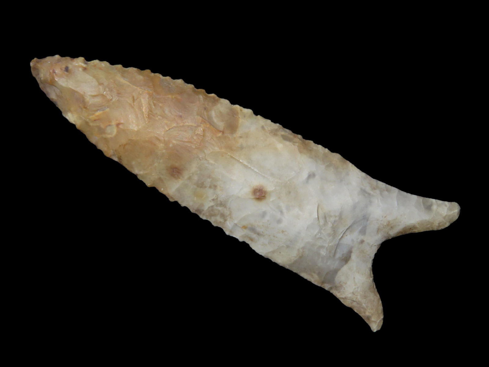 3 5/16" x 1 1/8" Dalton. Colorful Chert. Mason County, Illinois.: 3 5/16" x 1 1/8" Dalton. Colorful Chert. Mason County, Illinois.