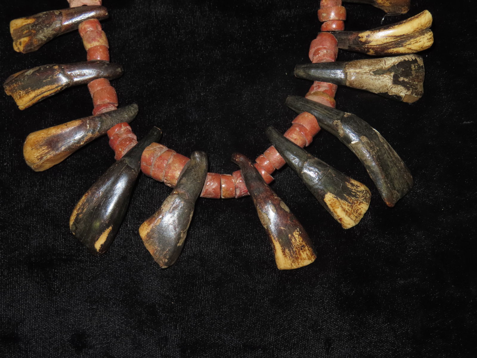 Buffalo Tooth Necklace. - 3