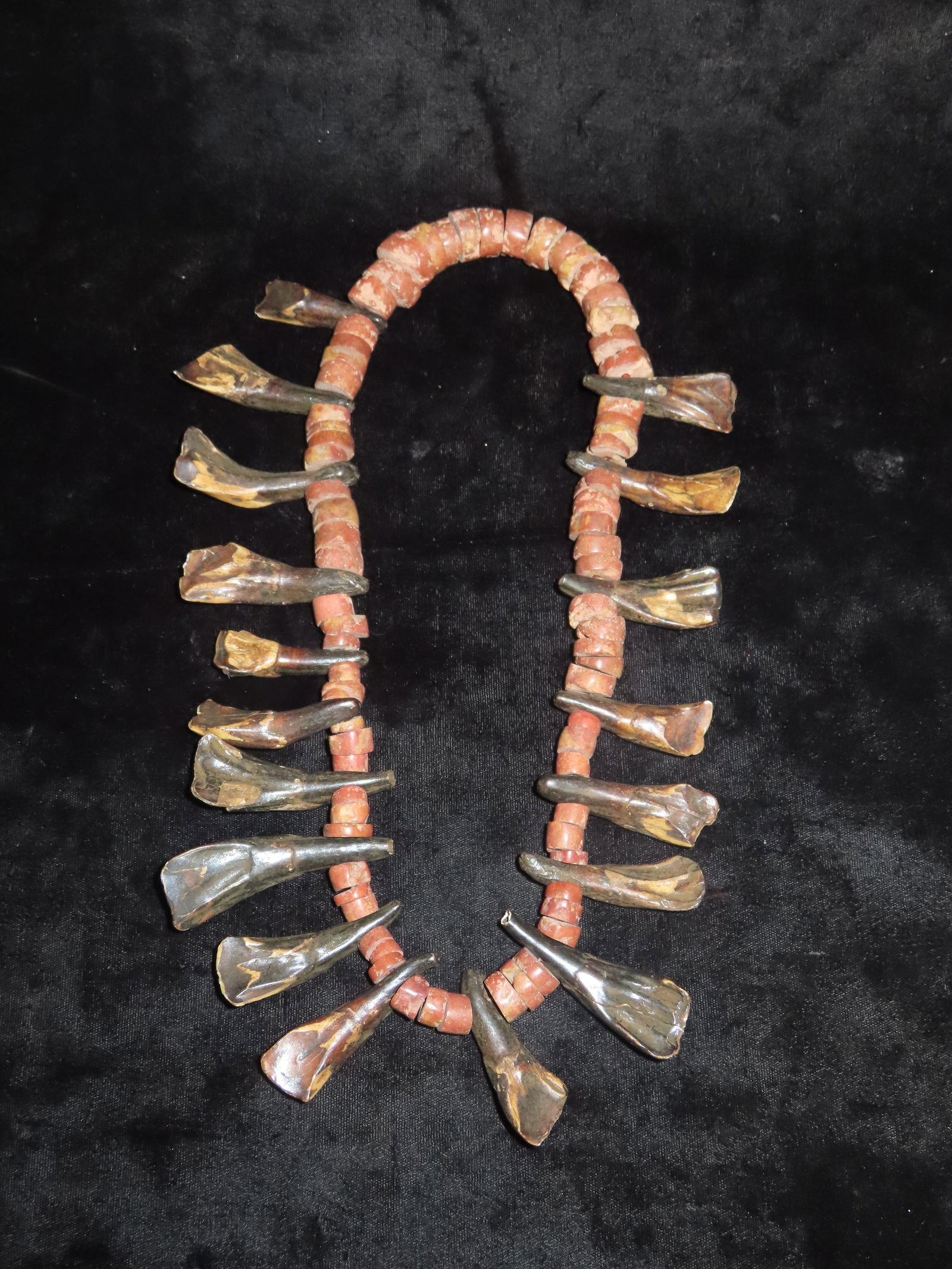 Buffalo Tooth Necklace. - 4