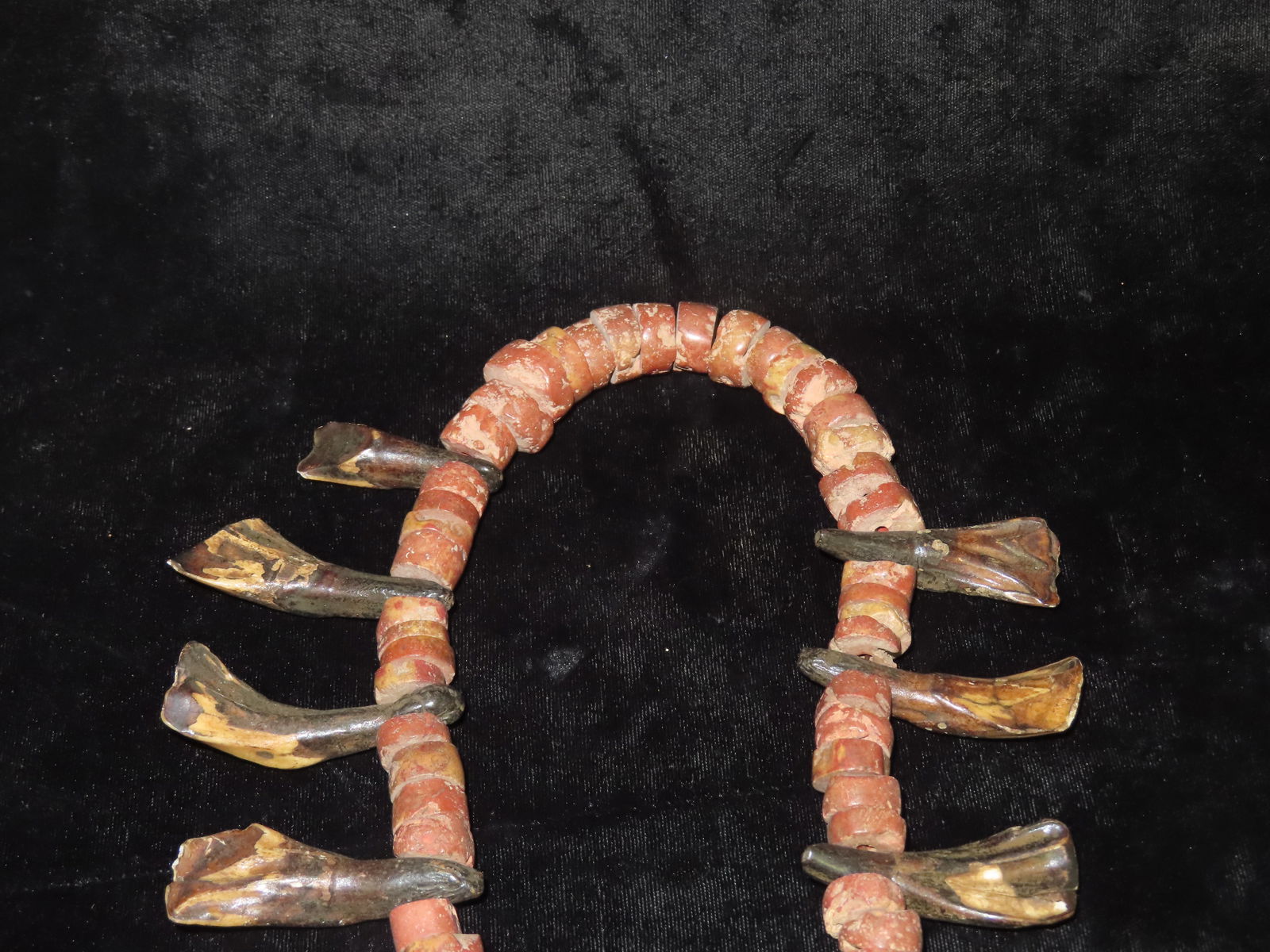 Buffalo Tooth Necklace. - 5