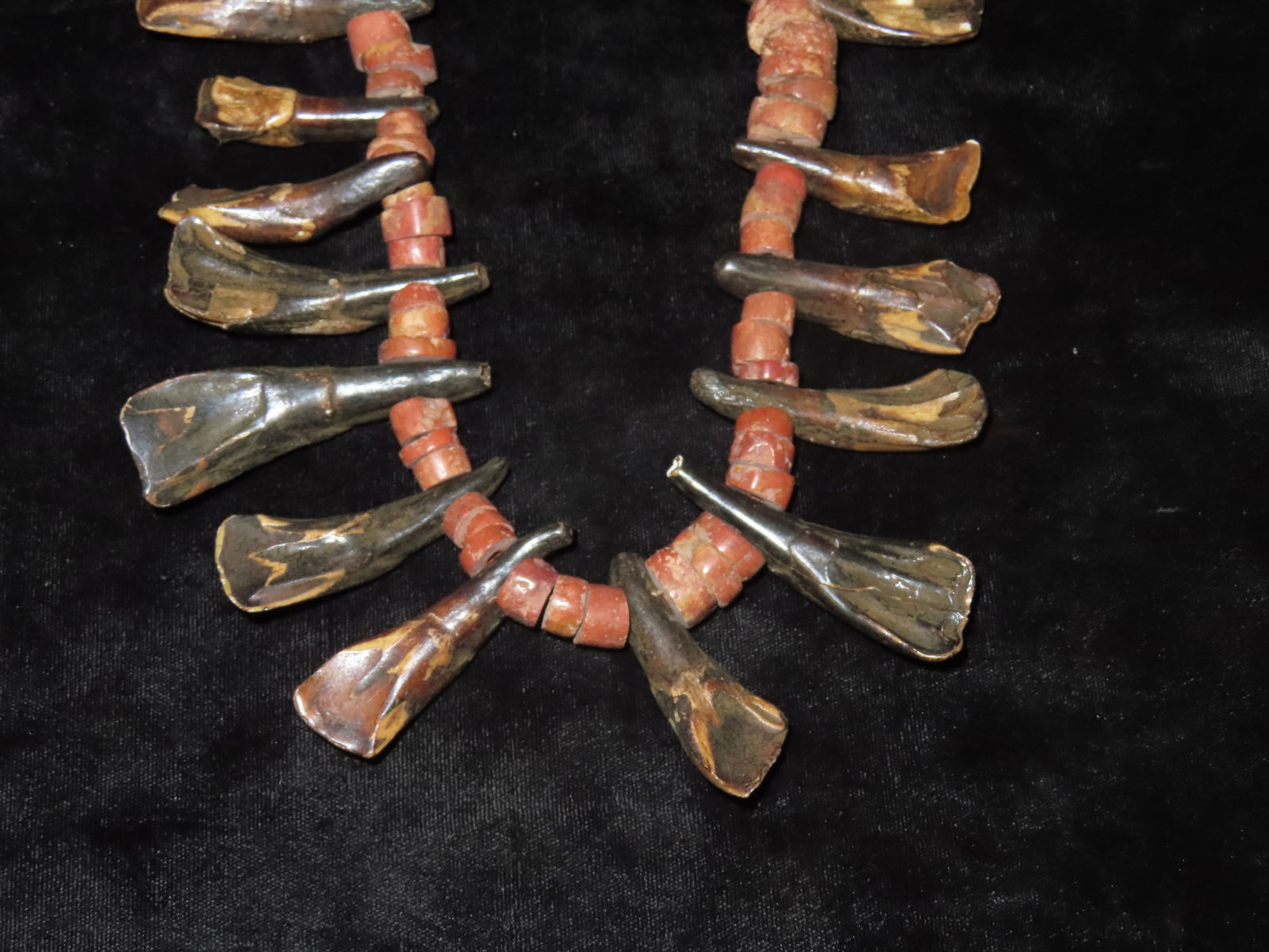 Buffalo Tooth Necklace. - 6