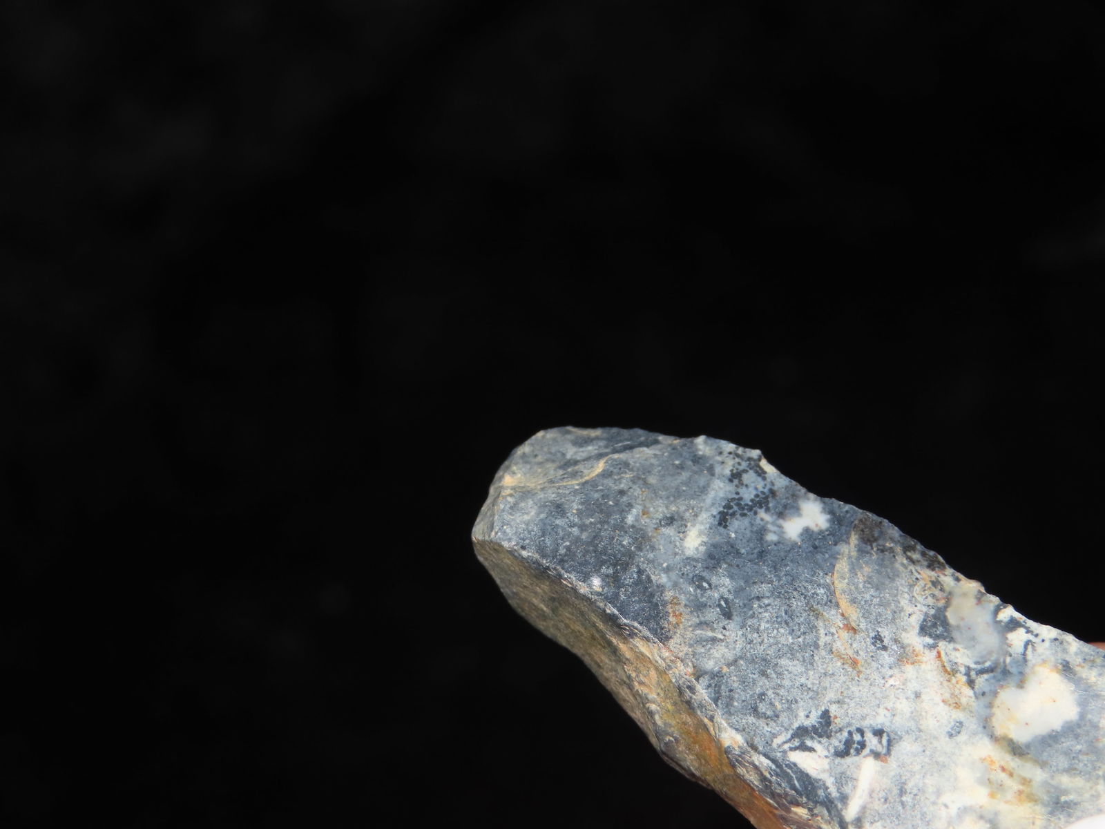 2 5/8" x 1 3/8" Paleolithic Side Knife. Sithe. Denmark. - 4