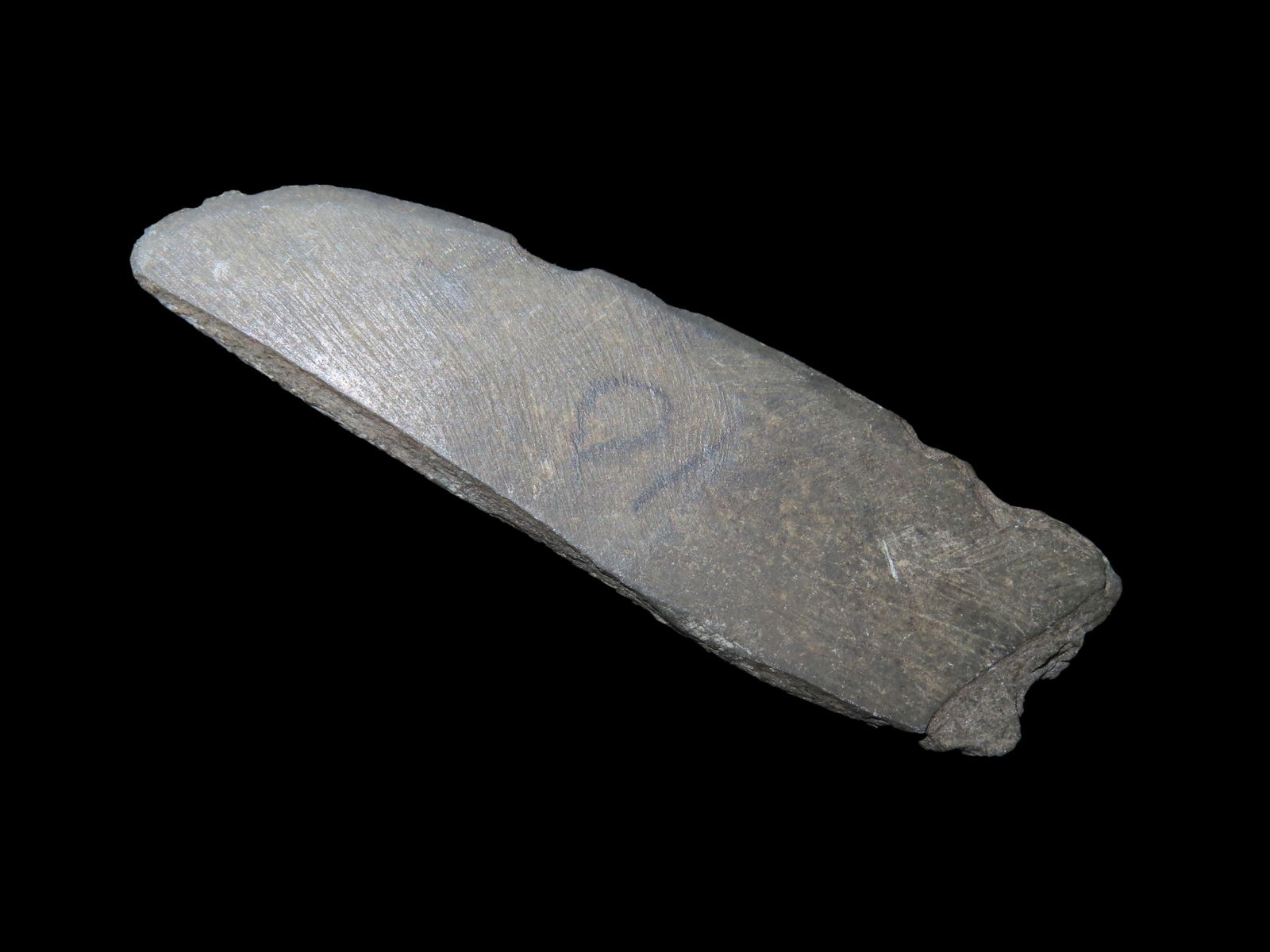 2 7/8" Slate Tool. Alaska Eskimo. St. Lawrence Island, Alaska. Ex Litherland Collection. (1 of 6)