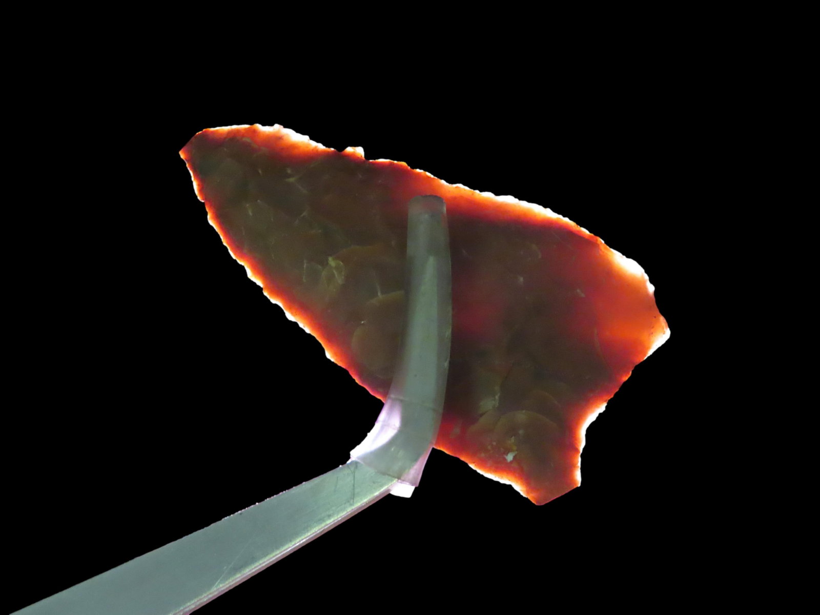 2 1/16" Cache River. E-Notch. Portland County, Tennessee.: 2 1/16" Cache River. E-Notch. Portland County, Tennessee.