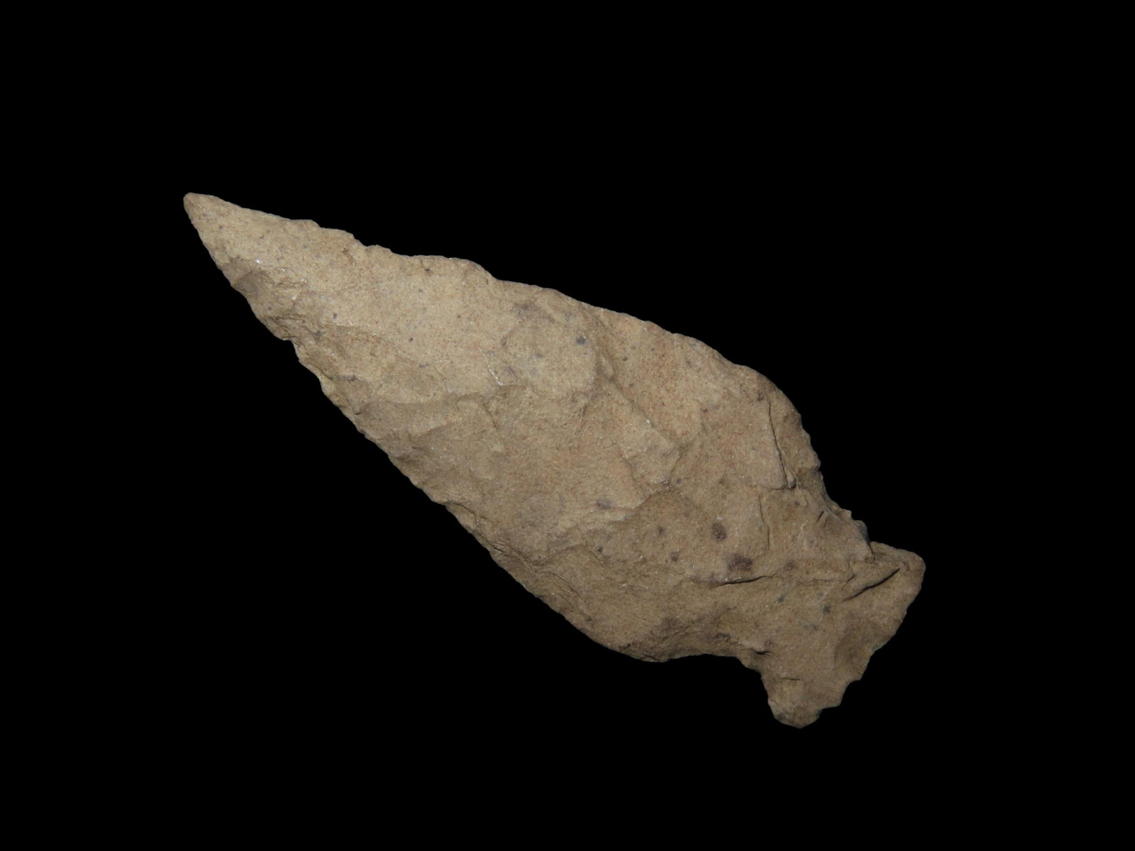 2 1/16" Scallon. Bird Point. Pettis County, Missouri.: 2 1/16" Scallon. Bird Point. Pettis County, Missouri.