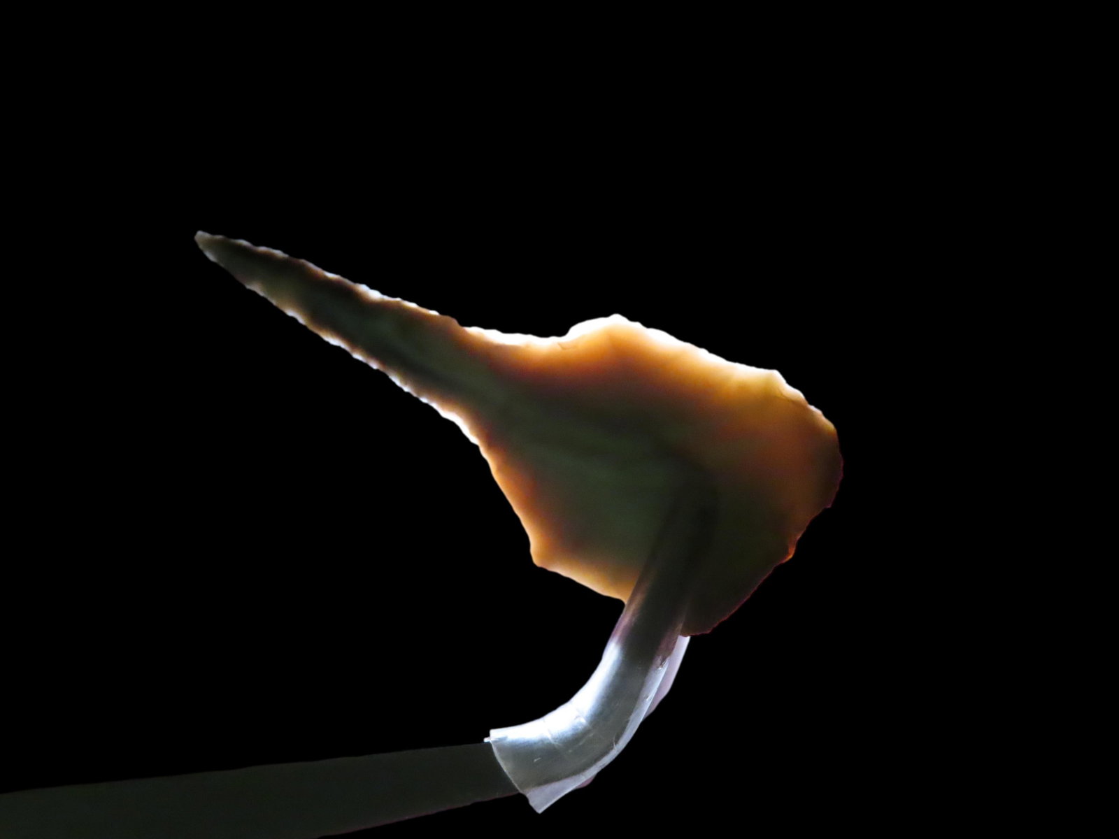 2 1/16" Paddle Drill. Mozarkite. Cole County, Missouri.: 2 1/16" Paddle Drill. Mozarkite. Cole County, Missouri.