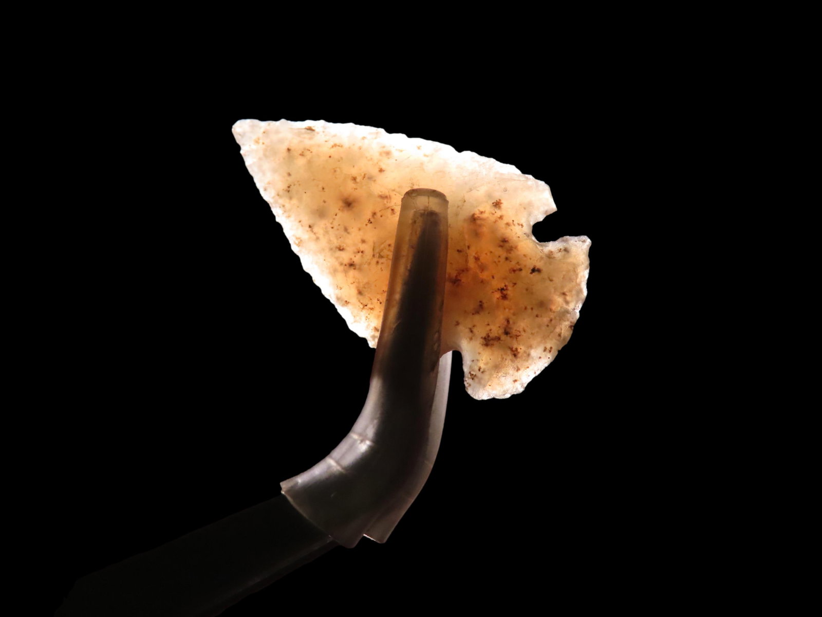 1 3/16" Hell's Cannon. Corner Notch. Agate Bird Point. Gilliam County, Oregan. Found by Bob Morgan.: 1 3/16" Hell's Cannon. Corner Notch. Agate Bird Point. Gilliam County, Oregan. Found by Bob Morgan.