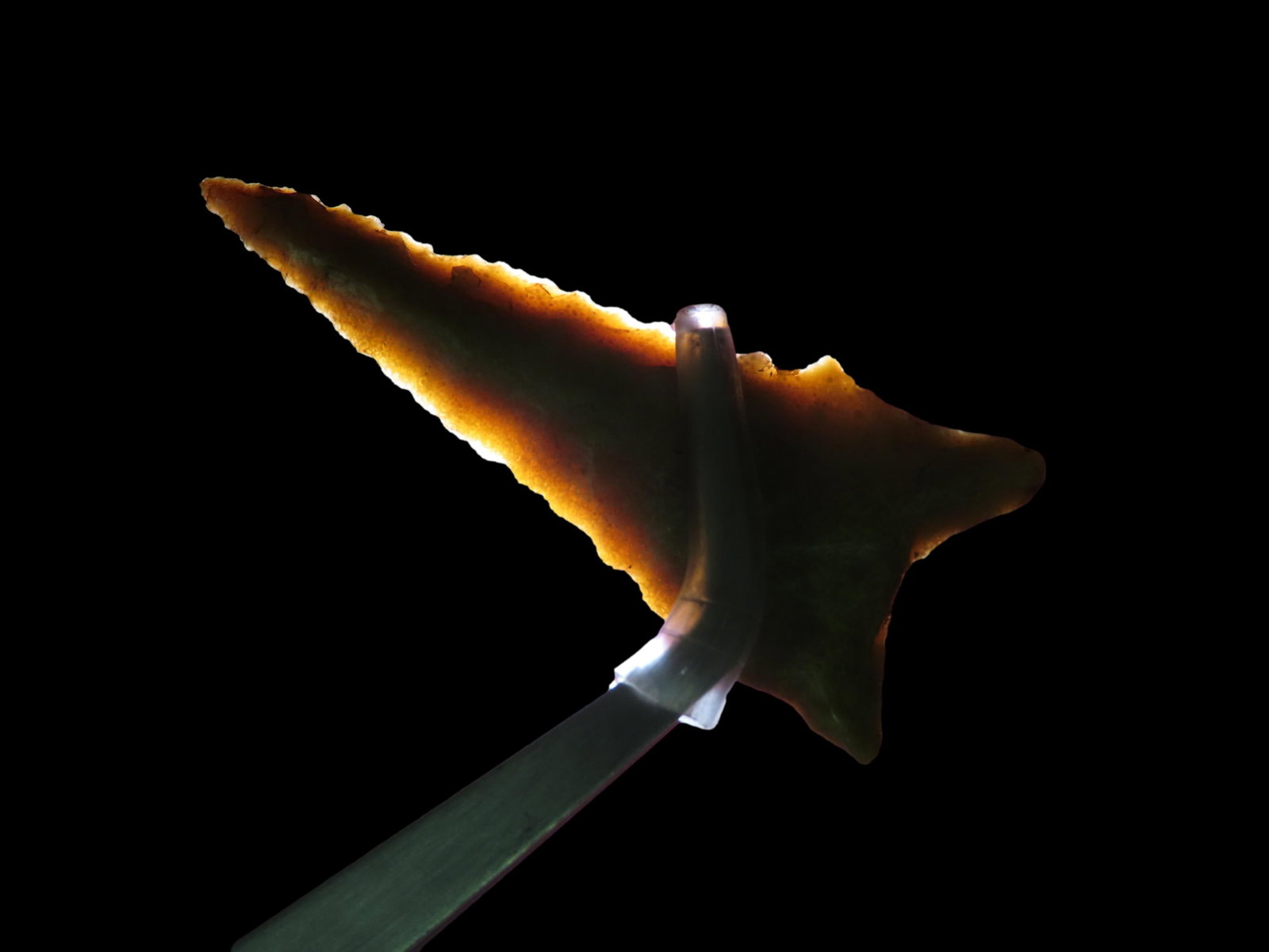 2 1/4" Dalton. Clay County, Arkansas. Found by Tommy Jones.: 2 1/4" Dalton. Clay County, Arkansas. Found by Tommy Jones.