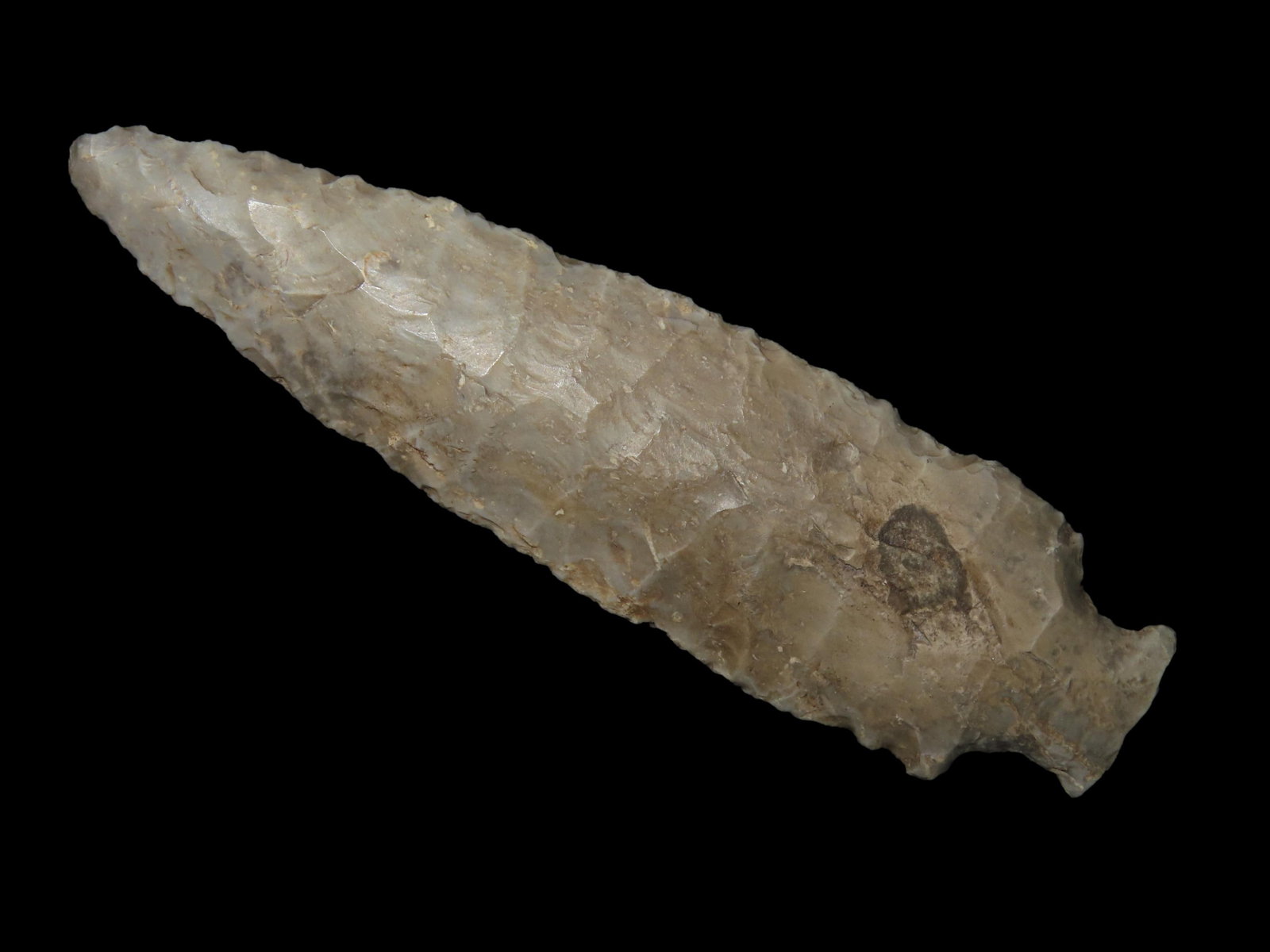 4 1/16" Table Rock. Pike County, Illinois. Found by Daniel White.: 4 1/16" Table Rock. Pike County, Illinois. Found by Daniel White.