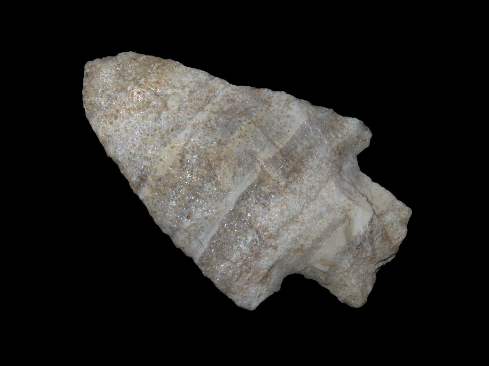 2 1/2" Quartzite Etley Point. Butler County, Missouri. Found near Poplar Bluff by JJ Smith. 1953 -: 2 1/2" Quartzite Etley Point. Butler County, Missouri. Found near Poplar Bluff by JJ Smith. 1953 - 1978.