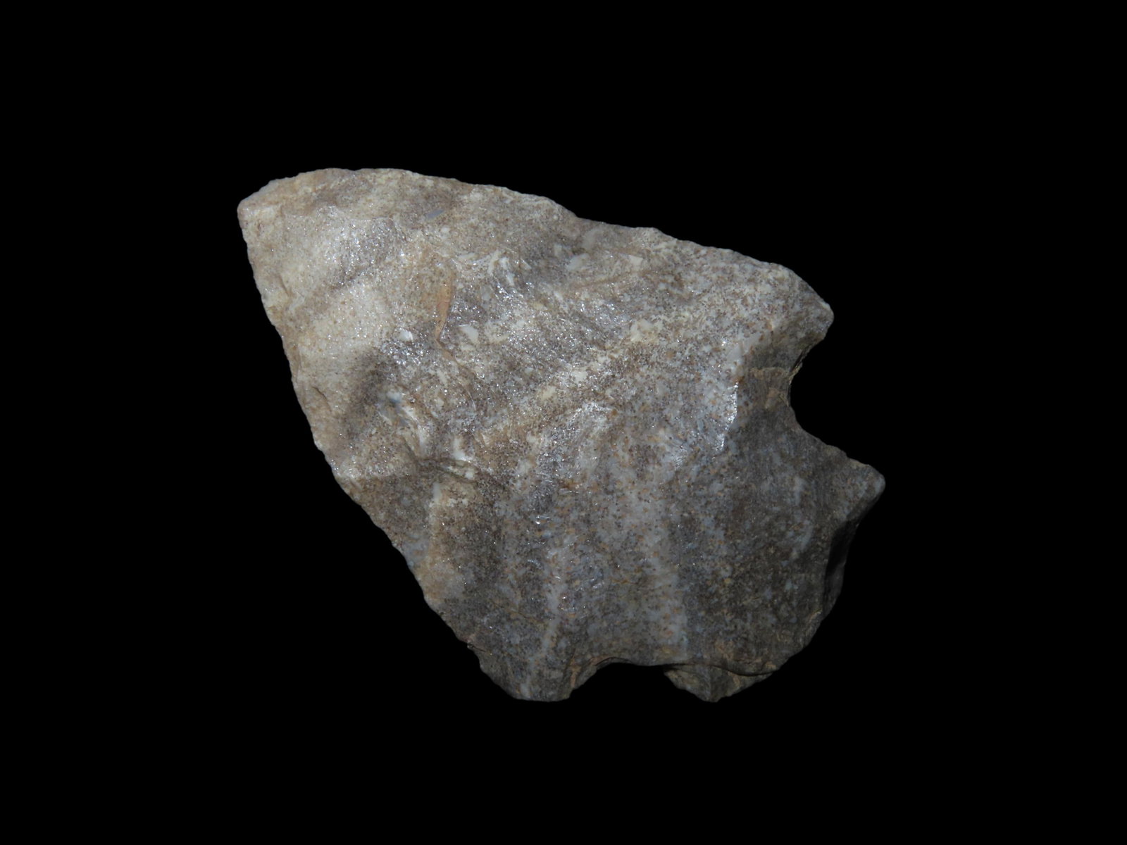 2 1/4" Quartzite Etley Point. Butler County, Missouri. Found near Poplar Bluff by JJ Smith 1953 -: 2 1/4" Quartzite Etley Point. Butler County, Missouri. Found near Poplar Bluff by JJ Smith 1953 - 1978.