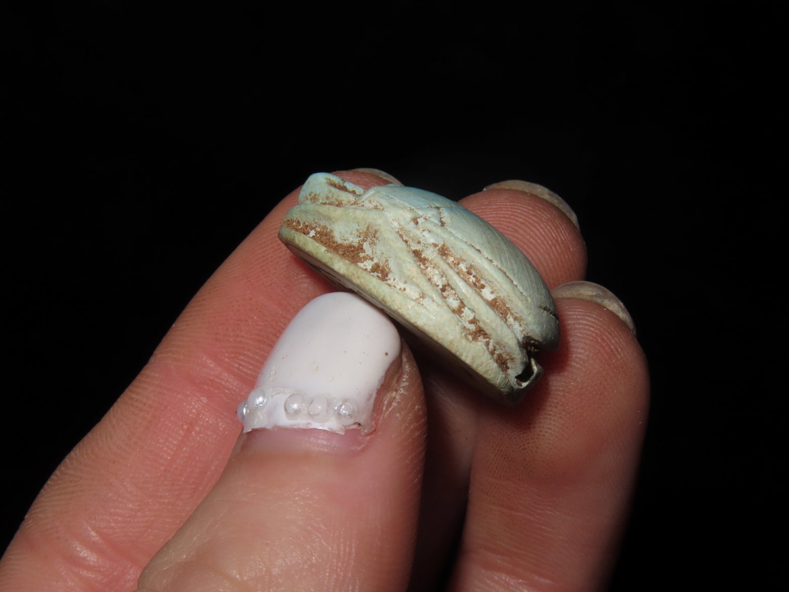 Small Beetle Bead? - 4