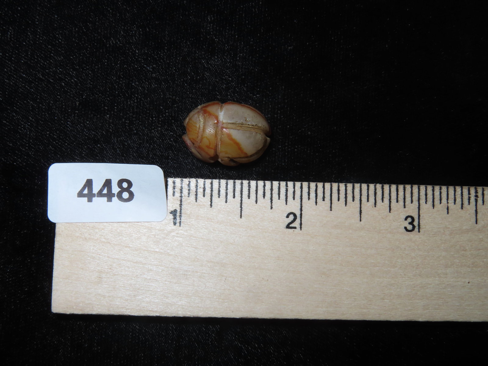 Miniature Brown Beetle - 7