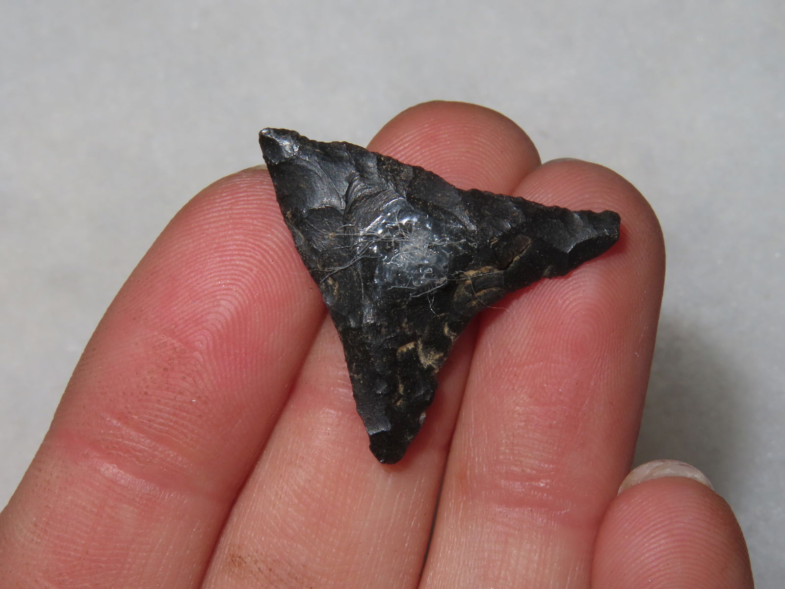 7/8" Hamilton Eastern Tennessee - 2