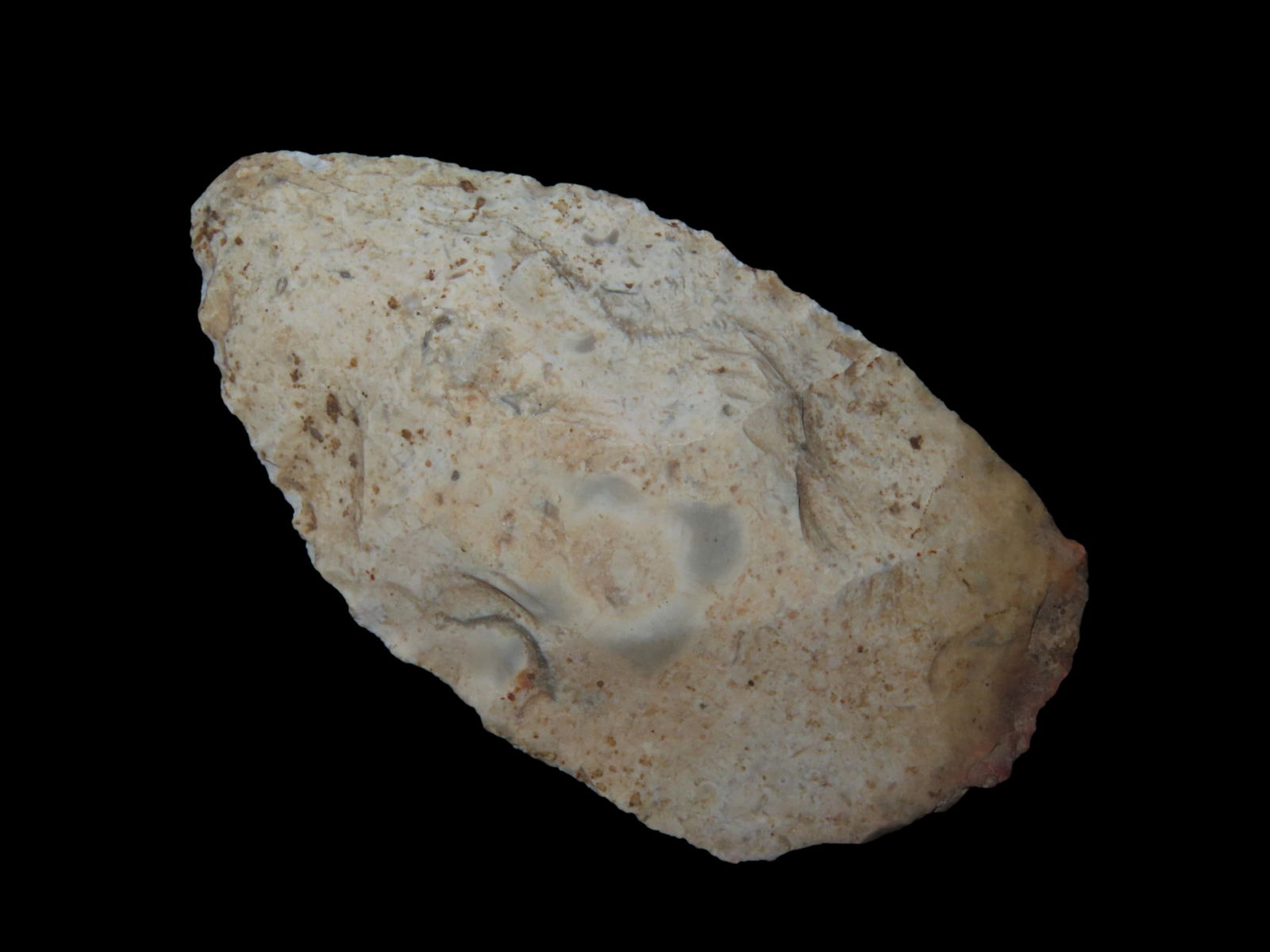 3.1/8" Archaic Blade Missouri Site Marked CP49 (1 of 4)