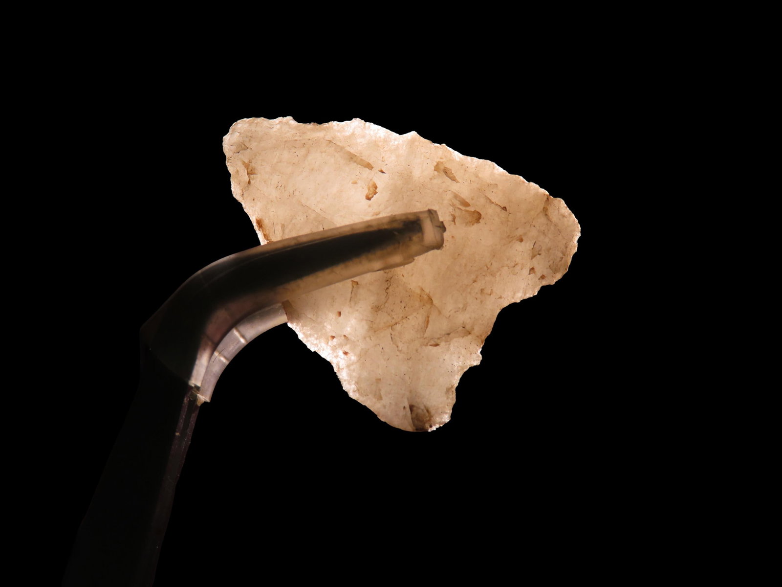 1.1/8" Late Paleo Alamancd/Clovis 12,000-10,000 B.P. Crystal Quartz Attleboro Masachuetts Marvin: 1.1/8" Late Paleo Alamancd/Clovis 12,000-10,000 B.P. Crystal Quartz Attleboro Masachuetts Marvin Farm/Beaver Site EX Peter Engstorm/Dr. Robbins Found 1920-1930