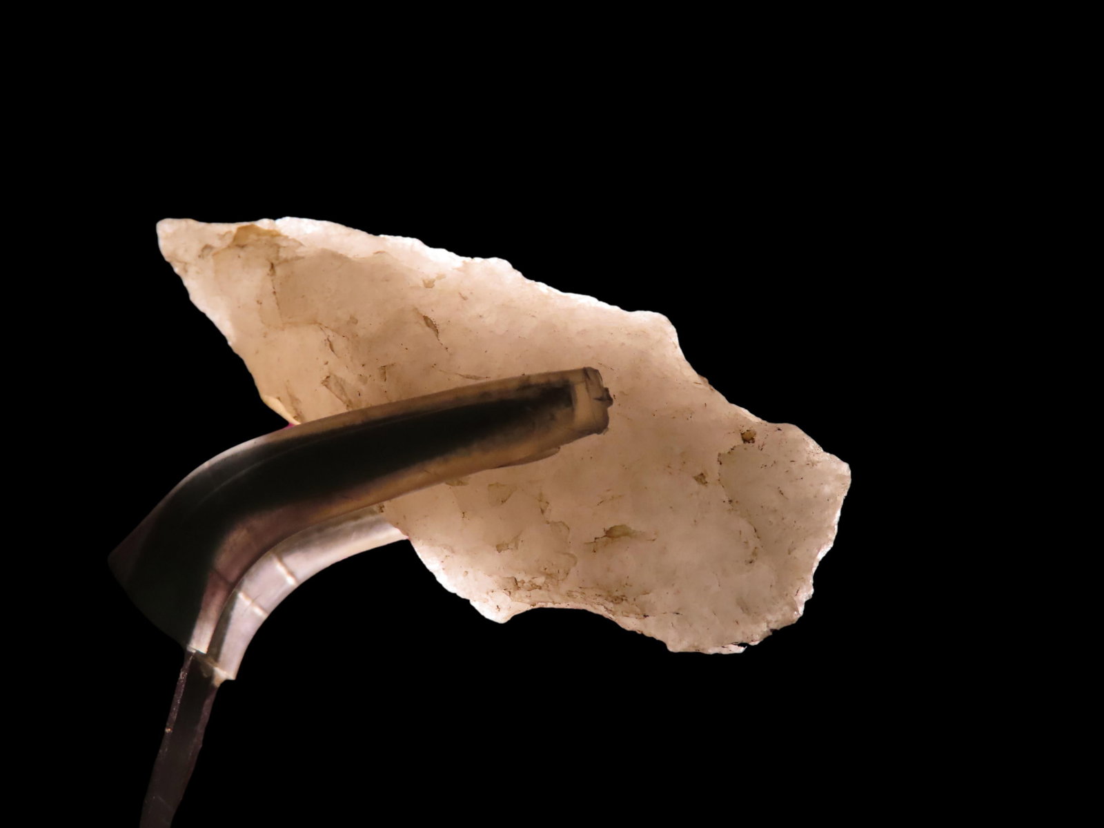 1.1/2" Long Native American Quartzite Holmes Point Attleboro Mass Marvin Farm/Beaver Site Ex Peter: 1.1/2" Long Native American Quartzite Holmes Point Attleboro Mass Marvin Farm/Beaver Site Ex Peter Engstorm/Dr. Robbins Found In 1920-1930