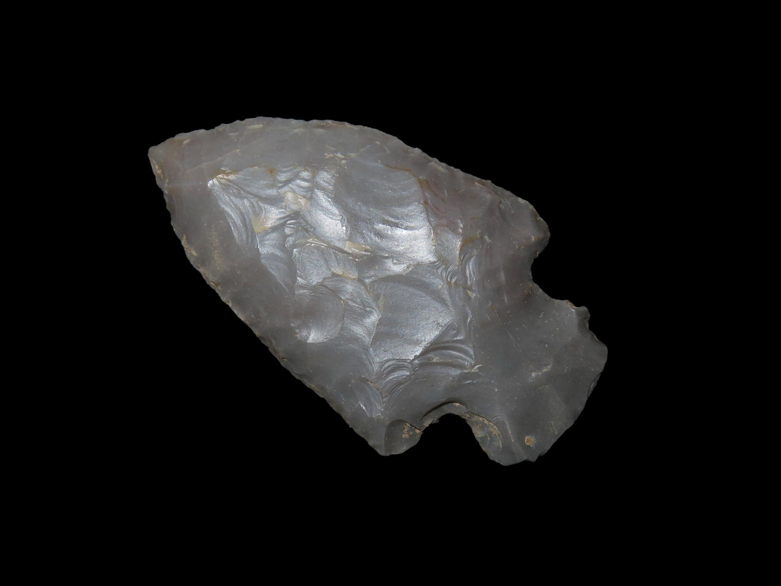 2.1/4" Woodland Point Lauderale County Alabama (1 of 5)