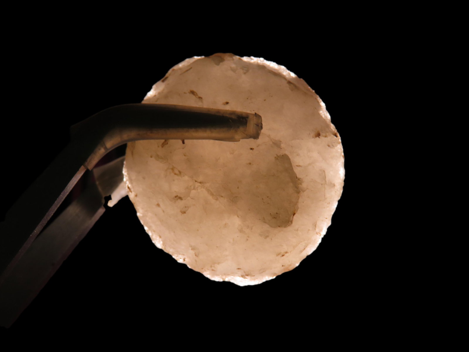 1 1/8" Sun Disc, Crystal Quarts, Attleboro Massachuesetts, Marvin Farm / Beaver Site, Ex Peter: 1 1/8" Sun Disc, Crystal Quarts, Attleboro Massachuesetts, Marvin Farm / Beaver Site, Ex Peter Engstorm / Dr. Robbins, Found Sometime between 1920-1930