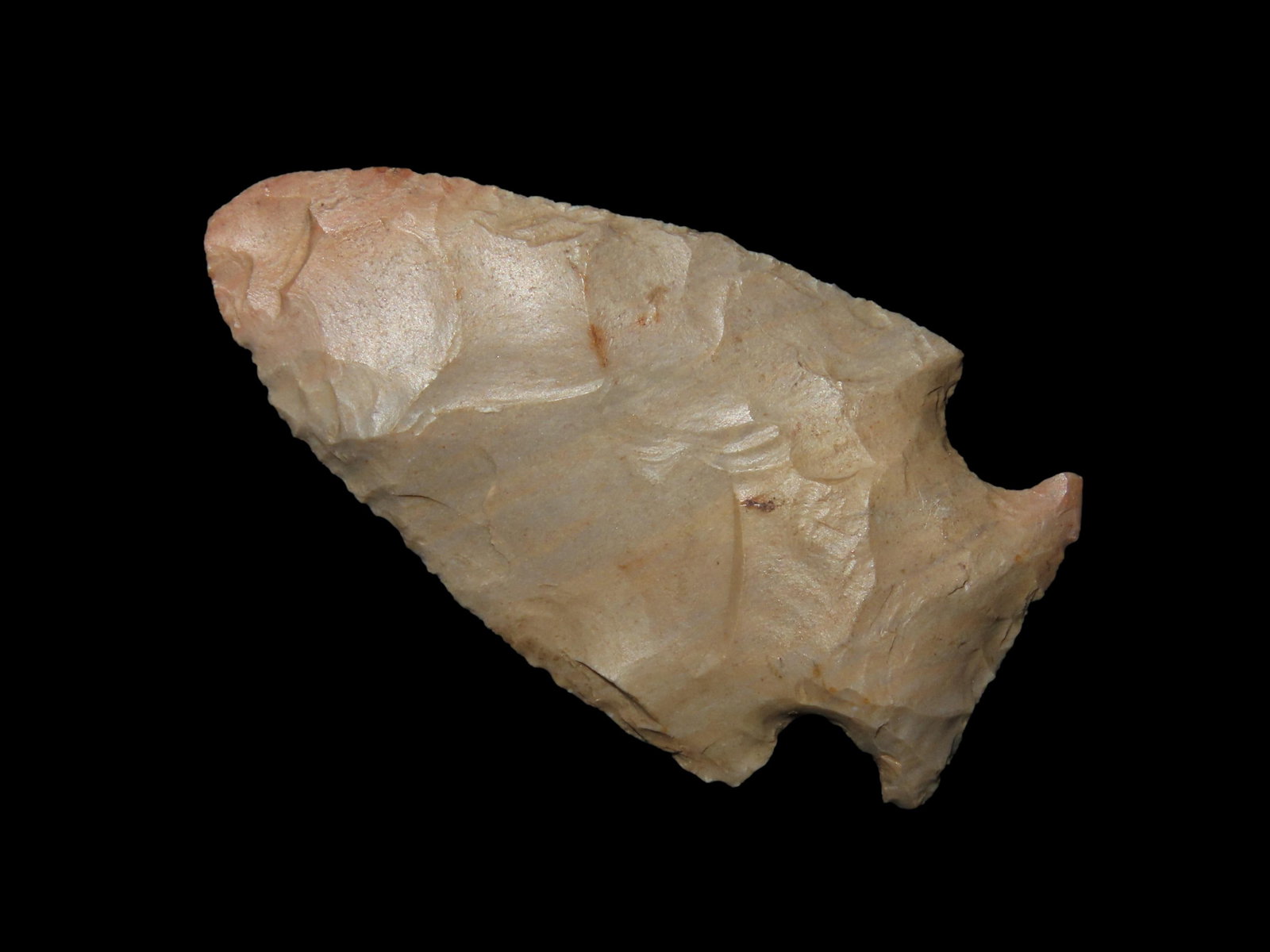 2" Woodland Point, Fanklin Co. Alabama (1 of 5)