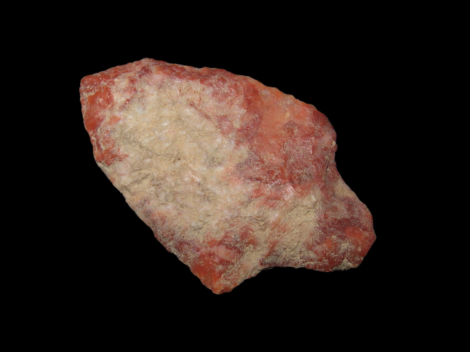 2 1/4" Abbey Point, Florida (1 of 4)