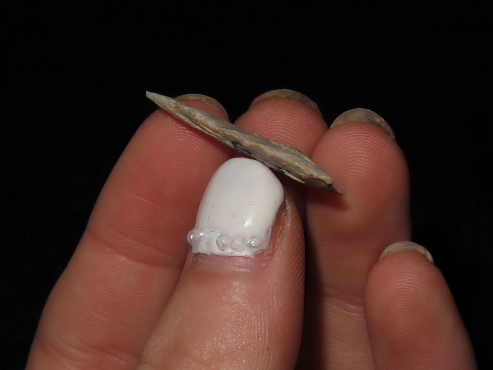 1 1/16" Triangular / Madison, St. Clair Co. Illinois - 4