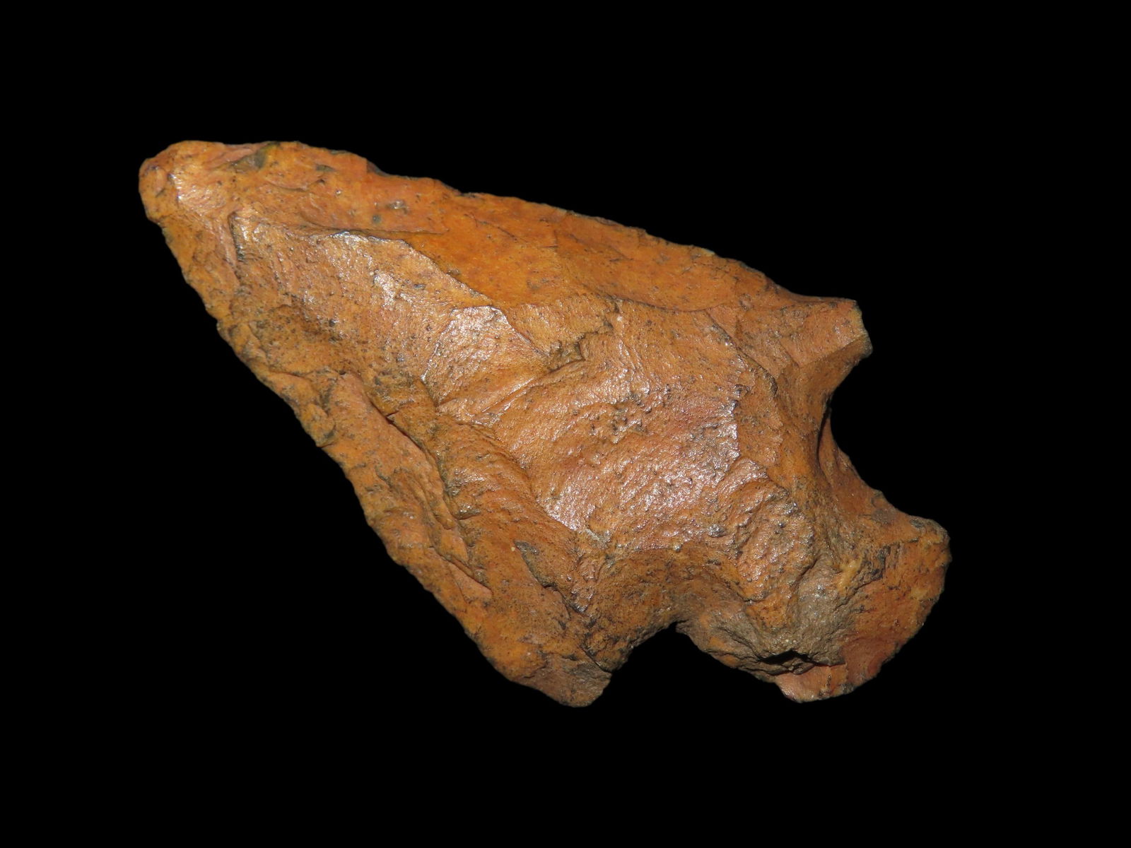 2 1/2" Abbey Point, River Stained: 2 1/2" Abbey Point, River Stained