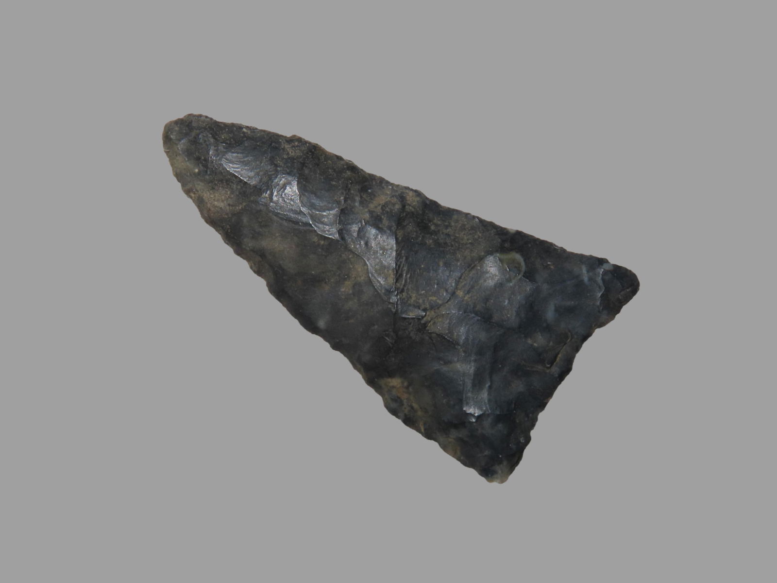 2" Dalton, Cook Co. Illinois: 2" Dalton, Cook Co. Illinois