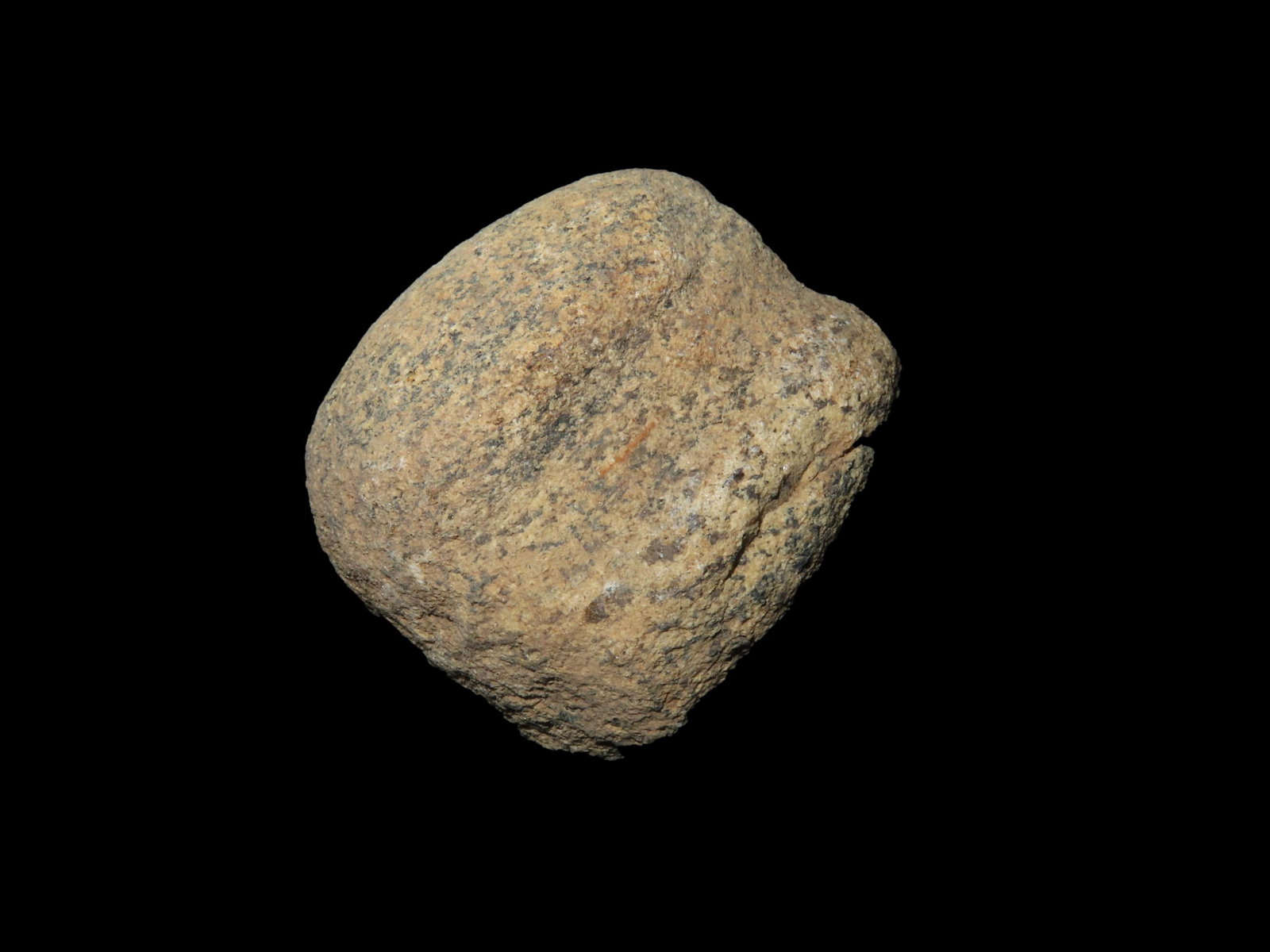 1 3/4" Grooved War Club, Found in Knox Co. Ohio: 1 3/4" Grooved War Club, Found in Knox Co. Ohio