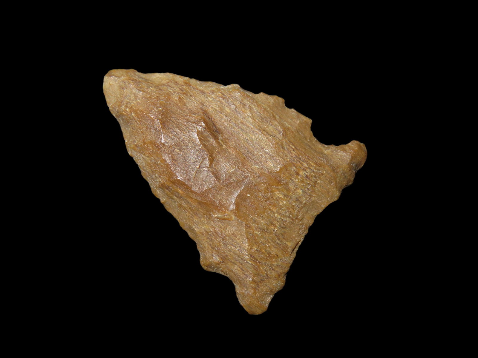 1 1/4" San Patrice Fluted Transitional Paleo 10,000-8,000 B.P. Found In Lousiana/Texas By Joshua (1 of 5)