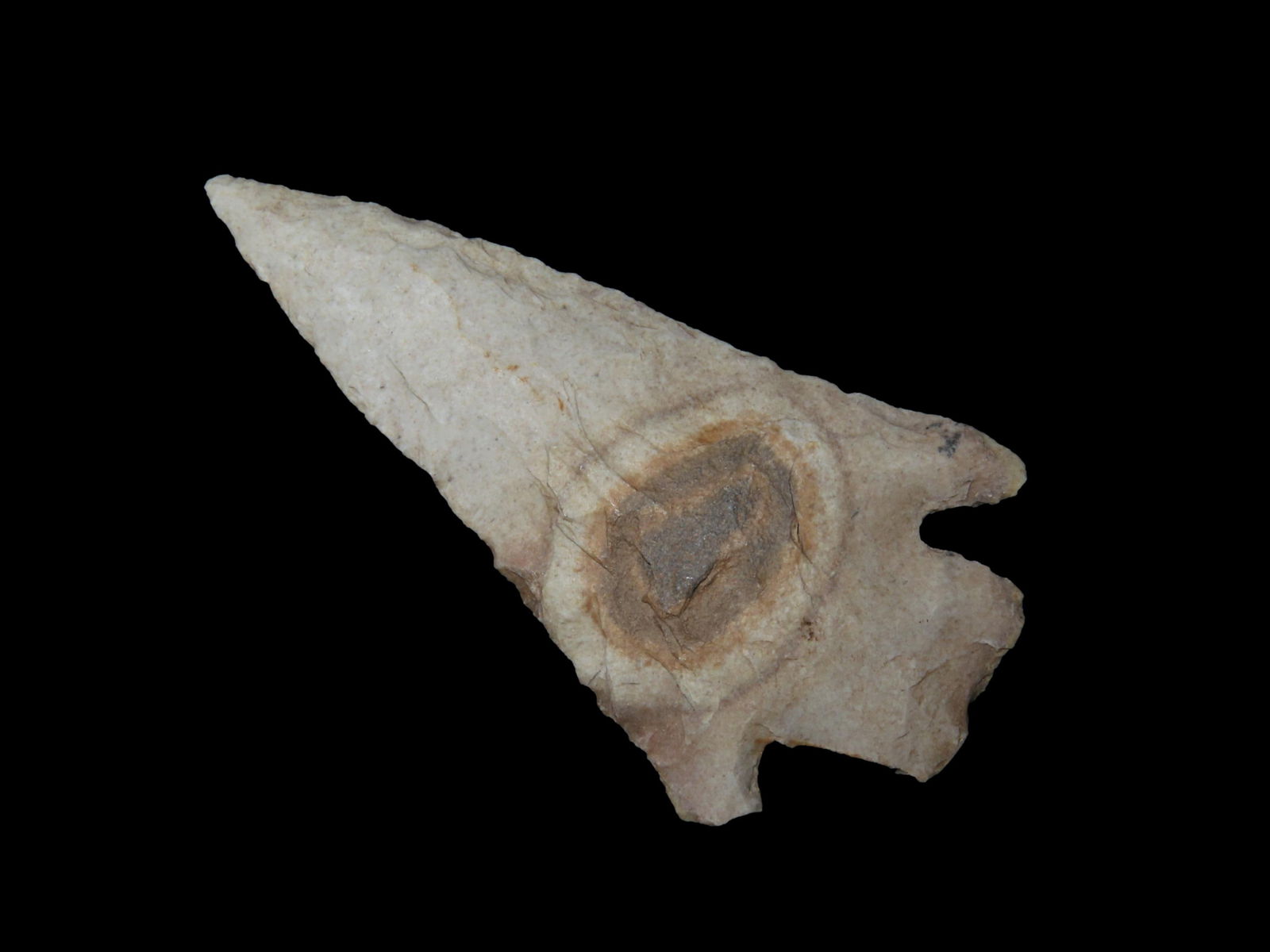 2 1/2" Apple Creek, Missouri: 2 1/2" Apple Creek, Missouri