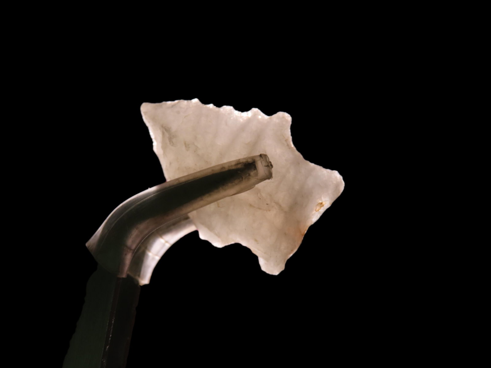 Super Crystal Quartz Beveled Arrowhead Found By Bill Smith Marshall County Alabama Dalton Palmer: Super Crystal Quartz Beveled Arrowhead Found By Bill Smith Marshall County Alabama Dalton Palmer Kirk Big Sandy Early Archaic