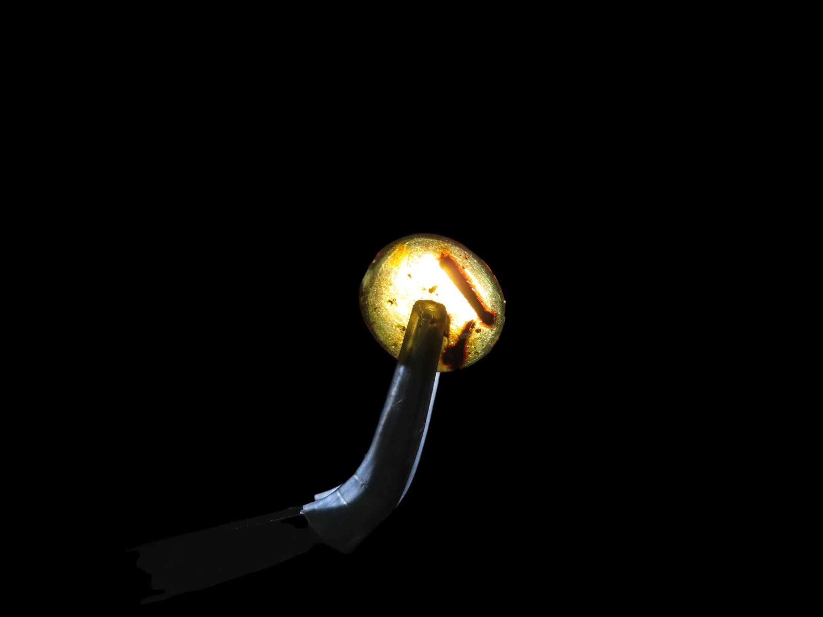 Dinosaur Age Amber with Insect, Cretaceous Era: Dinosaur Age Amber with Insect, Cretaceous Era